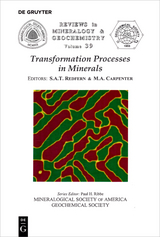 Transformation Processes in Minerals - 