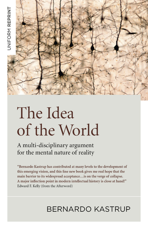 Idea of the World -  Bernardo Kastrup