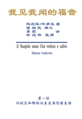 The Gospel As Revealed to Me (Vol 6) - Simplified Chinese Edition - Maria Valtorta, Hon-Wai Hui,  許漢偉