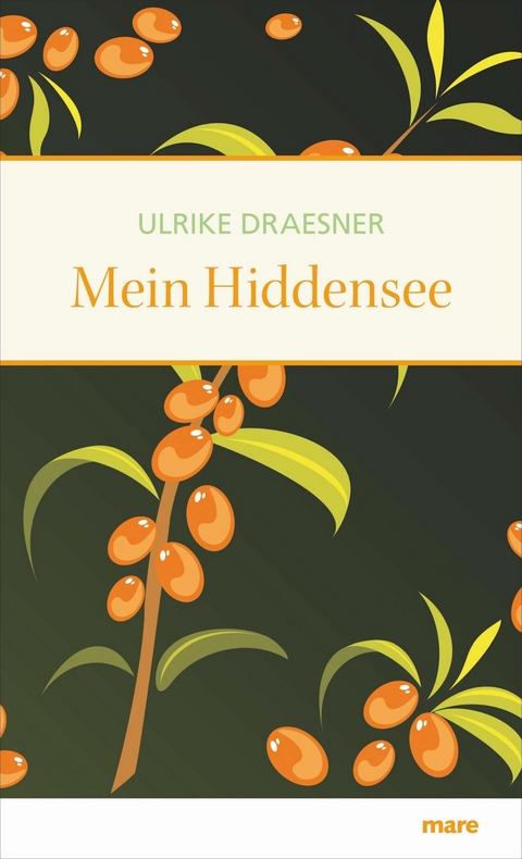 Mein Hiddensee -  Ulrike Draesner