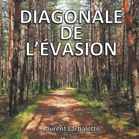 Diagonale de l'&eacute;vasion - Laurent Larbalette
