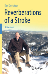 Reverberations of a Stroke - Karl Gustafson