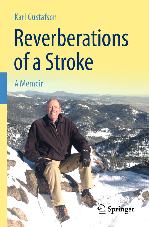 Reverberations of a Stroke - Karl Gustafson