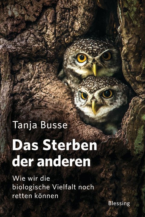 Das Sterben der anderen - Tanja Busse