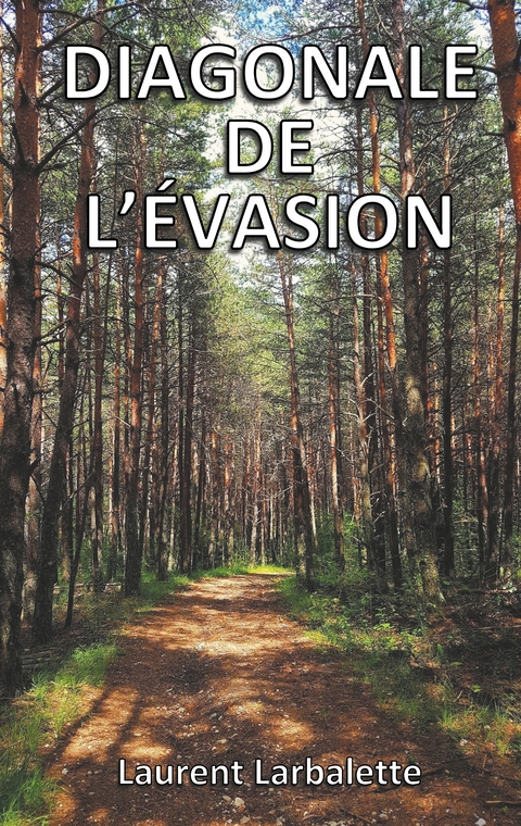 Diagonale de l'&eacute;vasion (poche) - Laurent Larbalette