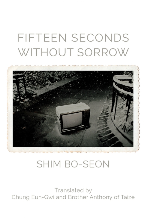Fifteen Seconds without Sorrow - Shim Bo-Seon