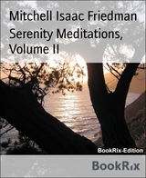 Serenity Meditations, Volume II - Mitchell Isaac Friedman