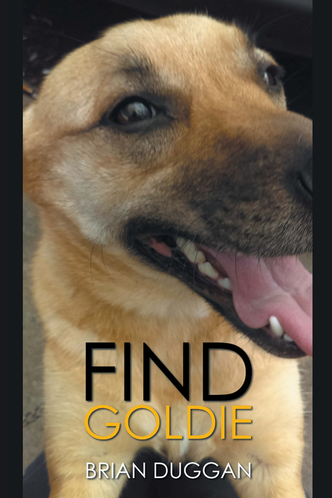 Find Goldie - Brian Duggan
