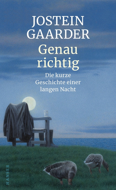 Genau richtig - Jostein Gaarder
