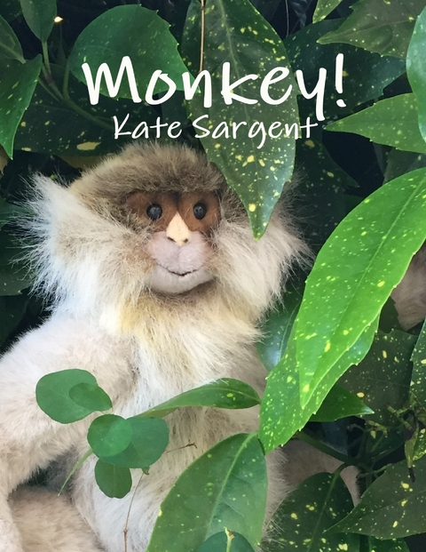 Monkey! -  Kate Sargent