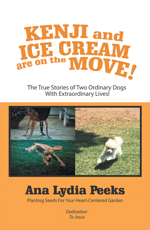 Kenji and Ice Cream Are on the Move! - Ana Lydia Peeks