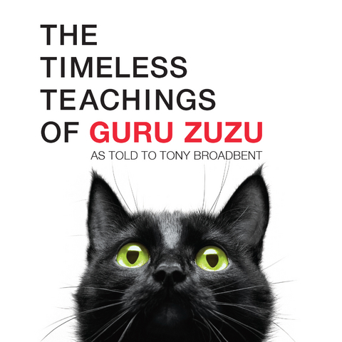 The Timeless Teachings of Guru Zuzu - Tony Broadbent