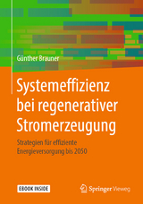 Systemeffizienz bei regenerativer Stromerzeugung - Günther Brauner