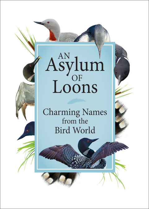 An Asylum of Loons - 