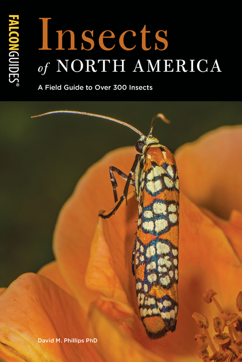 Insects of North America -  David M. Phillips