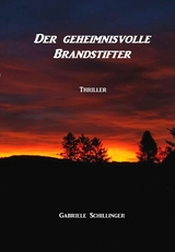 Der geheimnisvolle Brandstifter - Gabriele Schillinger