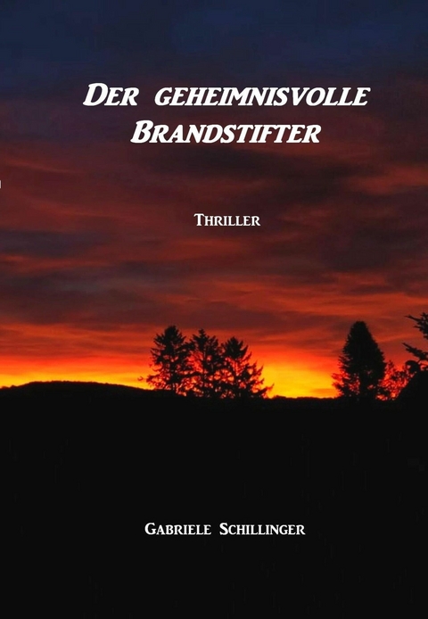 Der geheimnisvolle Brandstifter - Gabriele Schillinger