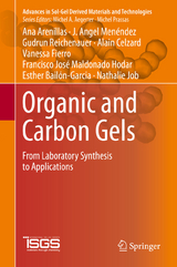 Organic and Carbon Gels - Ana Arenillas, J. Angel Men&eacute;ndez, Gudrun Reichenauer, Alain Celzard, Vanessa Fierro, Francisco Jos&eacute; Maldonado Hodar, Esther Bailόn-Garcia, Nathalie Job
