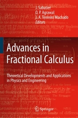Advances in Fractional Calculus - 