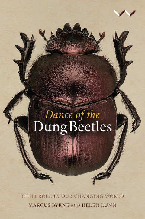 Dance of the Dung Beetles - Marcus Byrne, Helen Lunn