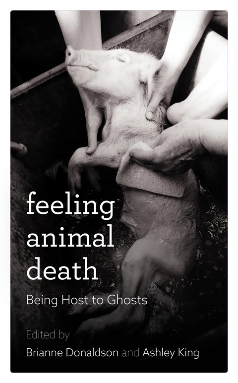 Feeling Animal Death - 