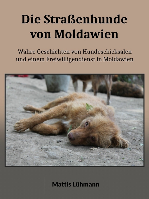 Die Stra&szlig;enhunde von Moldawien - Mattis L&uuml;hmann
