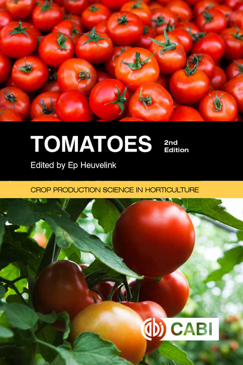 Tomatoes - 