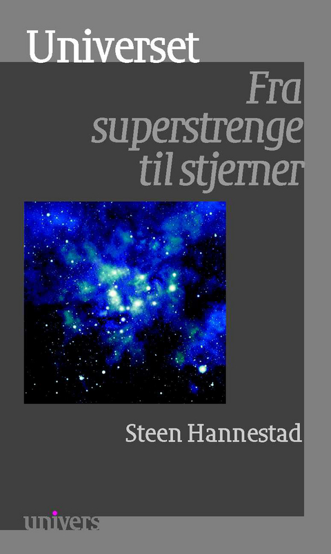 Universet - Steen Hannestad
