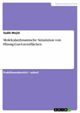 Molekulardynamische Simulation von Fl&uuml;ssig-Gas-Grenzfl&auml;chen -  Sadik Mejid