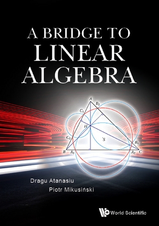 BRIDGE TO LINEAR ALGEBRA, A