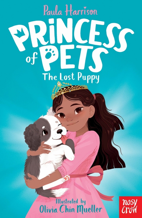 Princess of Pets: The Lost Puppy - Paula Harrison