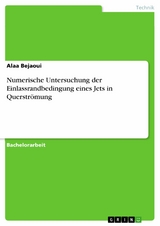 Numerische Untersuchung der Einlassrandbedingung eines Jets in Querströmung -  Alaa Bejaoui