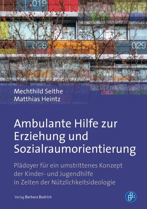 Ambulante Hilfe zur Erziehung und Sozialraumorientierung - Mechthild Seithe, Matthias Heintz