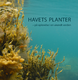Havets planter - 