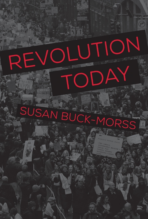 Revolution Today -  Susan Buck-Morss