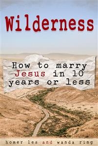 Wilderness - How to Marry Jesus in 10 Years or Less