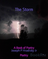 The Storm - Joseph P Hradisky Jr