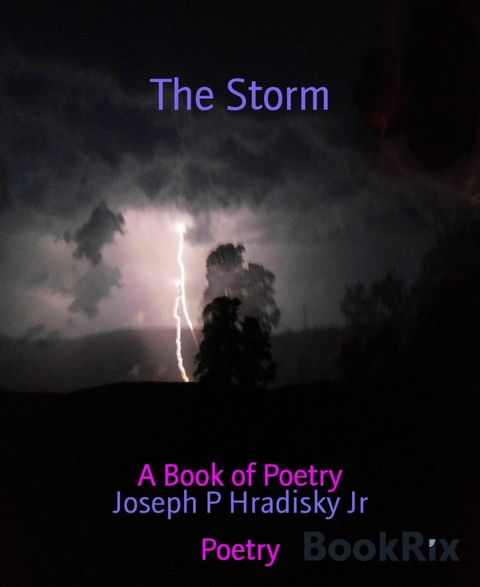 The Storm - Joseph P Hradisky Jr