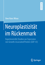 Neuroplastizit&auml;t im R&uuml;ckenmark - Uwe Hans Wiese