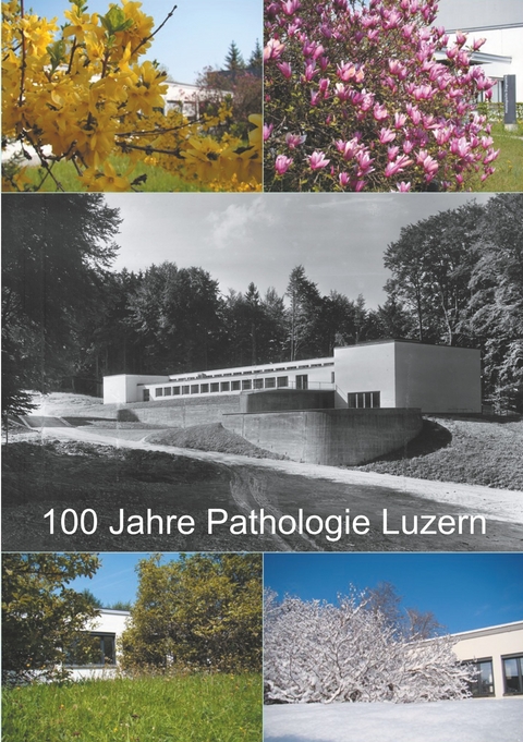 100 Jahre Pathologie Luzern - Joachim Diebold, Hedwig Trinkler, Aldo Colombi