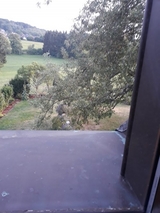 Das Geheimnis des pinken Diamanten -  Kolja Kappel