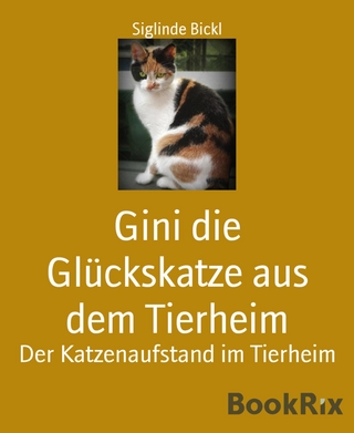 Gini die Glückskatze aus dem Tierheim