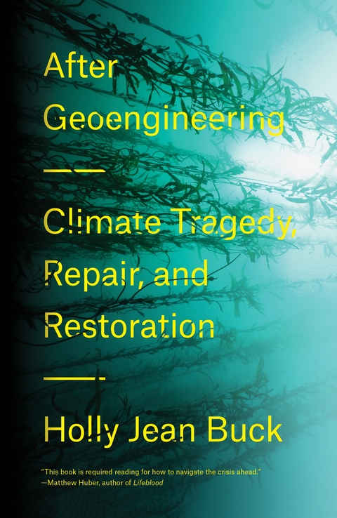 After Geoengineering - Holly Jean Buck