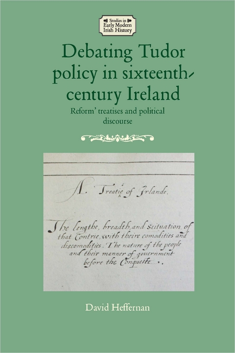 Debating Tudor policy in sixteenth-century Ireland -  David Heffernan
