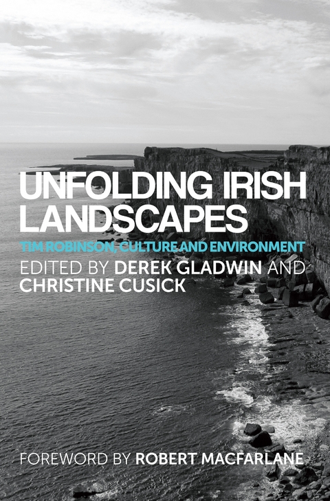 Unfolding Irish landscapes - 