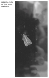 Auf einen Sprung an's Fenster - Sebastian Maile