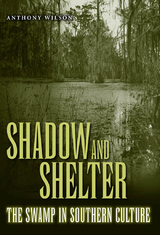 Shadow and Shelter - Anthony Wilson