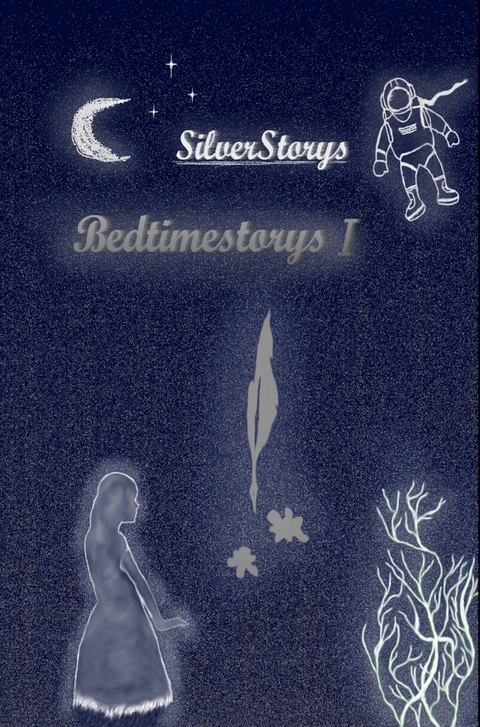 Silverstorys - Bedtimestorys - Sebastian Schocke