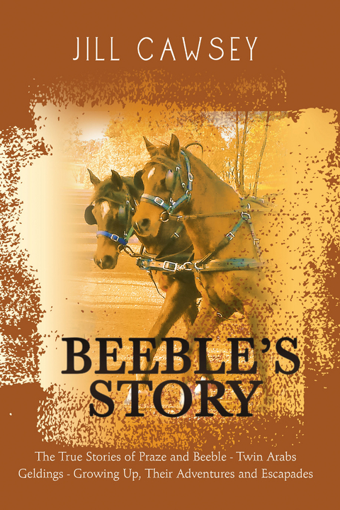 Beeble&rsquo;s Story - Jill Cawsey