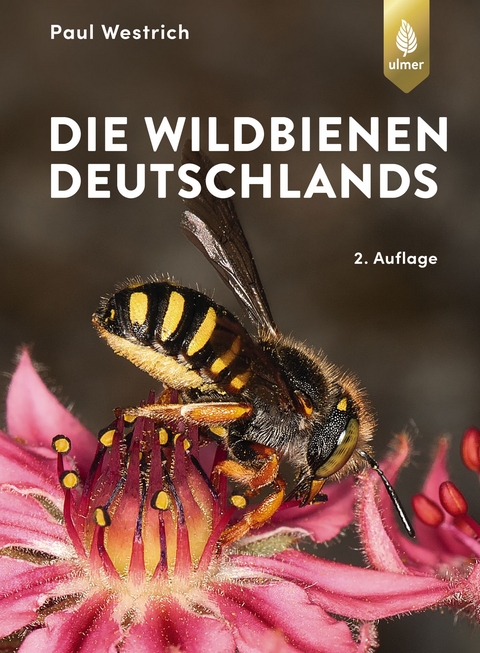 Die Wildbienen Deutschlands - Paul Westrich